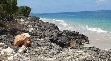 Gambar 2 Dijual Tanah di Bibir Pantai Lambakara Timur Sumba Timur Ntt