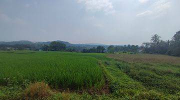 Gambar 5 Tanah di Cibungbulang Bogor