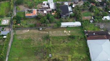 Gambar 5 For Sale Freehold Land At Singakerta Ubud