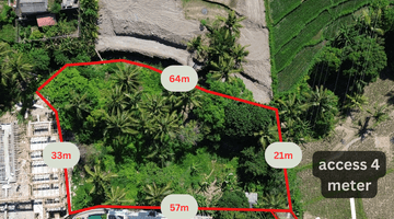 Gambar 3 For Sale Rare Land At Singapadu Ubud