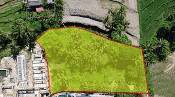 Gambar 2 For Sale Rare Land At Singapadu Ubud