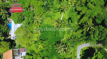 Gambar 2 For Sale Leasehold Land In Katiklantang Ubud 