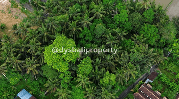 Gambar 1 For Sale Leasehold Land In Complex Villa And Hotel At Singakerta Ubud