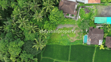 Gambar 2 For Sale Leasehold Rare Land At Tirta Tawar Ubud 