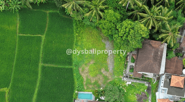 Gambar 4 For Sale Leasehold Rare Land At Tirta Tawar Ubud 