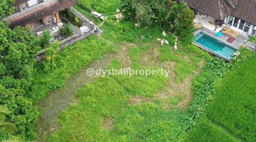 Gambar 5 For Sale Leasehold Rare Land At Tirta Tawar Ubud 