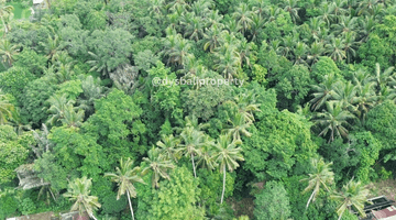 Gambar 2 For Sale Leasehold Land With Jungle View And Lost River At Demayu Ubud