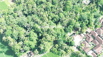 Gambar 4 For Sale Leasehold Land With Jungle View And Lost River At Demayu Ubud