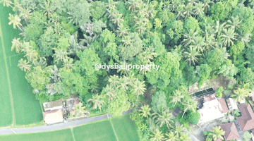 Gambar 5 For Sale Leasehold Land With Jungle View And Lost River At Demayu Ubud