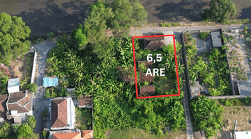 Gambar 1 For Sale Freehold Land Near Dyatmika International School