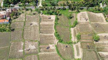 Gambar 3 For Sale Leasehold Land In Complex Private Villa At Mas Ubud