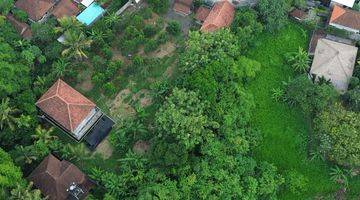 Gambar 3 For Sale Freehold Land Near Ubud Centre And Bebek Tepi Sawah Restaurants