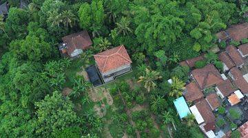 Gambar 5 For Sale Freehold Land Near Ubud Centre And Bebek Tepi Sawah Restaurants