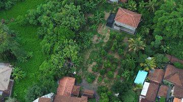 Gambar 4 For Sale Freehold Land Near Ubud Centre And Bebek Tepi Sawah Restaurants