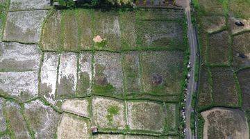 Gambar 5 For Sale Leasehold Land With Ricefield View At Mas Ubud