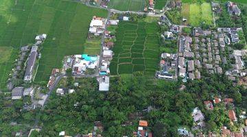 Gambar 2 For Sale Freehold Land With Ricefield View And Lost River