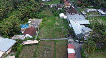 Gambar 3 For Sale Rare Land At Tirta Tawar Jungjungan , Ubud Near Ubud Centre