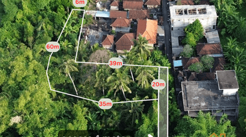 Gambar 2 For Sale Leasehold Land With Ricefield View At Mawang Lodtunduh , Ubud