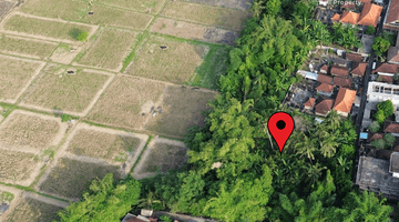 Gambar 4 For Sale Leasehold Land With Ricefield View At Mawang Lodtunduh , Ubud