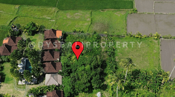 Gambar 4 For Sale Rare Land , Leasehold land small size with ricefield view at Lodtunduh - Ubud