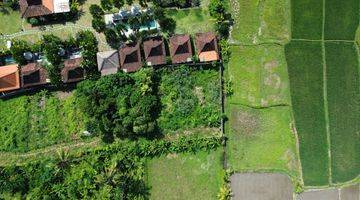 Gambar 5 For Sale Rare Land , Leasehold land small size with ricefield view at Lodtunduh - Ubud