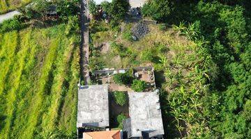 Gambar 5 For Sale Leasehold Land With Lembah View At Singapadu Kaler