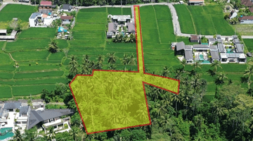 Gambar 3 For Sale Freehold Land At Pejeng Sala Ubud