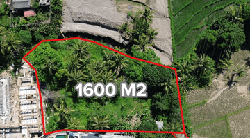 Gambar 1 For Sale Rare Land At Singapadu Ubud