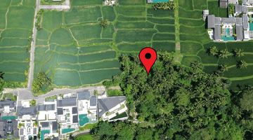 Gambar 2 For Sale Freehold Land At Pejeng Sala Ubud