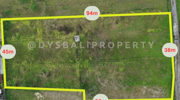 Gambar 2 For Sale Freehold Land At Singakerta Ubud