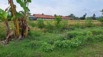 Gambar 4 DI JUAL SAWAH BEAKANG SD TOSARI KEC. PRINGAPUS KAB. SEMARANG 