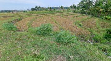 Gambar 1 DI JUAL SAWAH BEAKANG SD TOSARI KEC. PRINGAPUS KAB. SEMARANG 