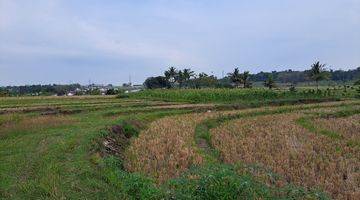 Gambar 3 DI JUAL SAWAH BEAKANG SD TOSARI KEC. PRINGAPUS KAB. SEMARANG 