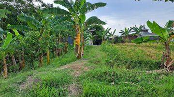 Gambar 5 DI JUAL SAWAH BEAKANG SD TOSARI KEC. PRINGAPUS KAB. SEMARANG 