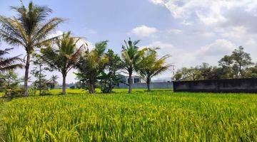 Gambar 5 Dijual Tanah Strategis View Sawah Dan Gn Merapi Dekat Jejamuran