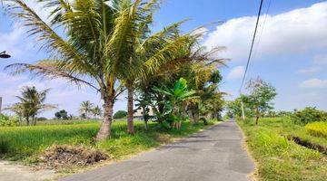 Gambar 4 Dijual Tanah Strategis View Sawah Dan Gn Merapi Dekat Jejamuran