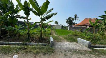 Gambar 4 Dijual Tanah View Sawah Dekat Jogjabay Stadion Maguwoharjo Sleman