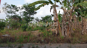 Gambar 1 Tanah Pekarangan Strategis Prospektif Area Barat Jl.Palagan Km9,5
