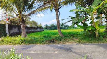 Gambar 1 Dijual Tanah Strategis View Sawah Dan Gn Merapi Dekat Jejamuran