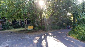 Gambar 1 Dijual Tanah di Area Raya Ubud