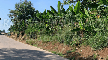 Gambar 4 Tanah Luas Untuk Wisata / Perumahan di Cibinong Hilir, Cianjur