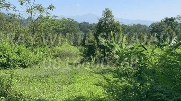 Gambar 1 Tanah Luas Untuk Wisata / Perumahan di Cibinong Hilir, Cianjur