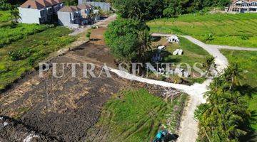 Gambar 1 JUAL TANAH  DEKAT PANTAI KEDUNGGU TABANAN BALI