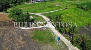 Gambar 2 JUAL TANAH  DEKAT PANTAI KEDUNGGU TABANAN BALI