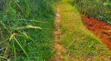 Gambar 1 Dijual tanah darat kebun dekat situ daerah Cibinong pusat kota 