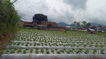 Gambar 2 Tanah Murah di Lembang Cocok Untuk Perumahan