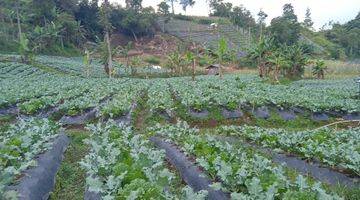 Gambar 1 Tanah Kebun Produktif di Lembang Dekat Kantor Desa Wangunharja 