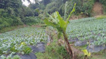 Gambar 4 Tanah Kebun Produktif di Lembang Dekat Kantor Desa Wangunharja 