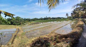 Gambar 3 Tanah Murah Pantai Antap Selemadeg Tabanan Bali