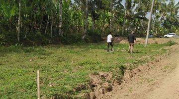 Gambar 2 Tanah Murah Bagus Buahan Kaja Payanagan Ubud Gianyar Bali